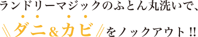 ランドリーマジックのふとん丸洗いで、ダニ＆カビをノックアウト！！